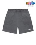 Stussy Water Stock Shorts Grey