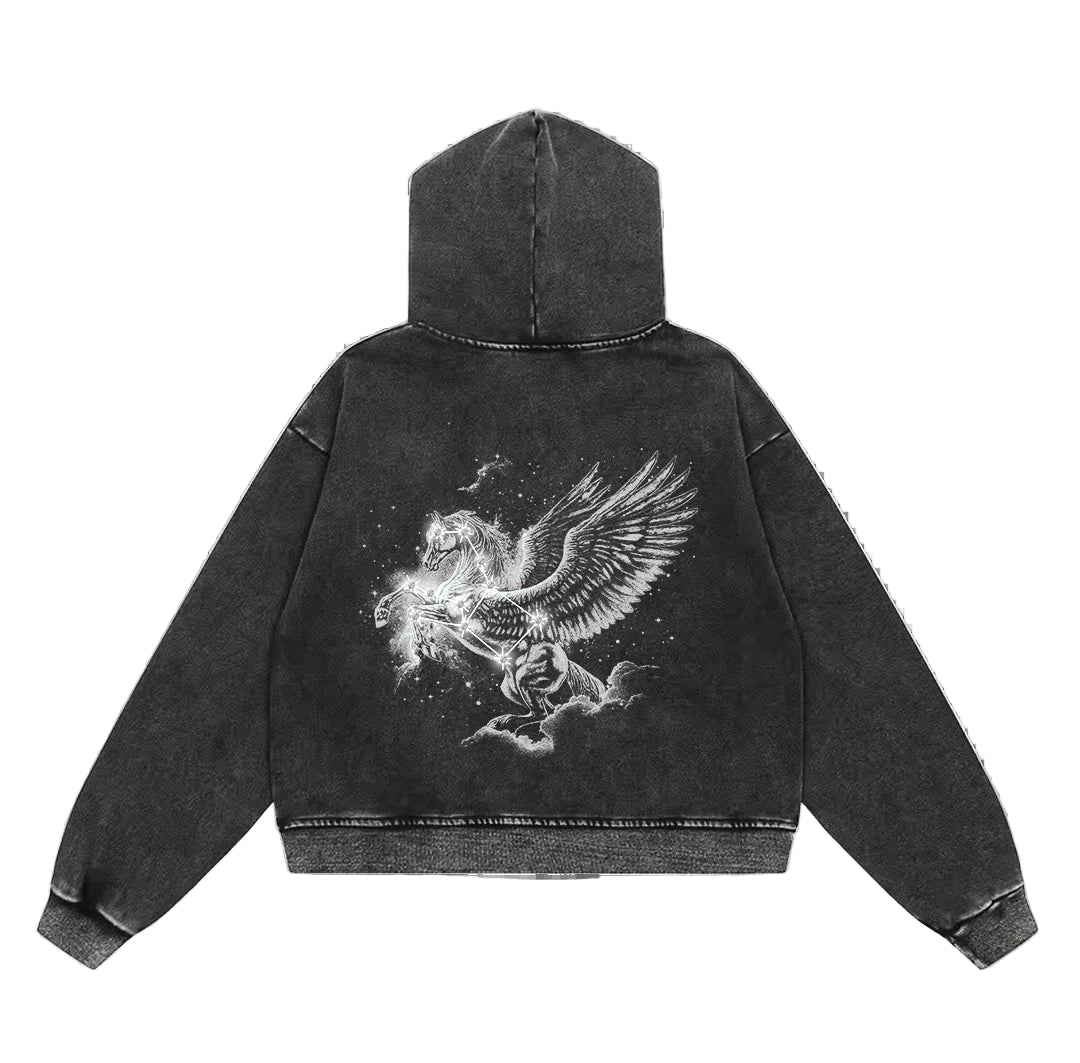 Floor914 Pegasus Zip Up
